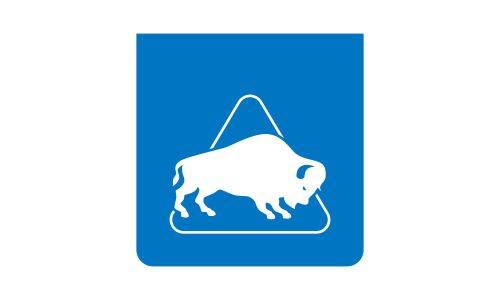 buffalo